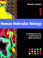 Human Molecular Biology : An Introduction to the Molecular Basis of Health and Disease