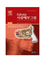 Sobotta사람해부그림 (2vols)-Atlas of human anatomy head, neck, upper limb 14h