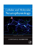 Cellular and Molecular Neurophysiology, 3/e