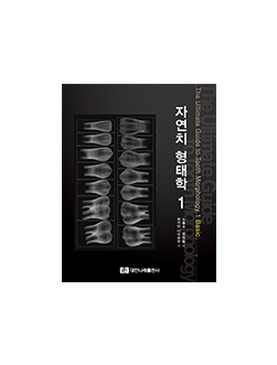 자연치 형태학 1