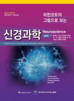리핀코트의 그림으로 보는 신경과학 제2판