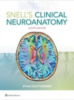 Snell's Clinical Neuroanatomy, 8/e