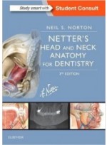 Netter's Head and Neck Anatomy for Dentistry, 3/e