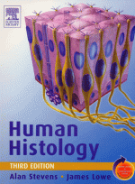 Human Histology 3th