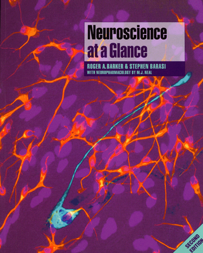Neuroscience at a Glance 2th