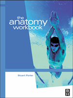 Anatomy Workbook,The