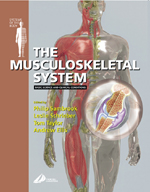 Musculoskeletal System,The : Systems of the Body Series