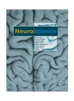 Neuroscience,3/e
