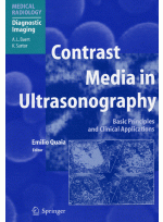 Contrast Media in Ultrasonography : Basic Principles and Clinical Applications