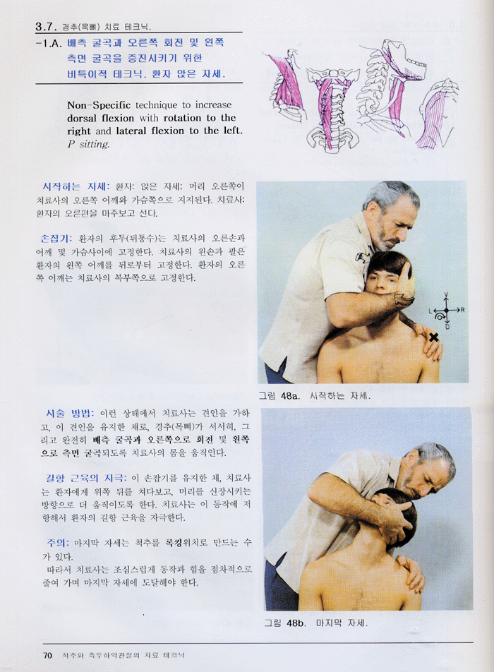 근육의 신장의 맨손요법 -실전의 길잡이 제2권 척추와 측두하악관절편