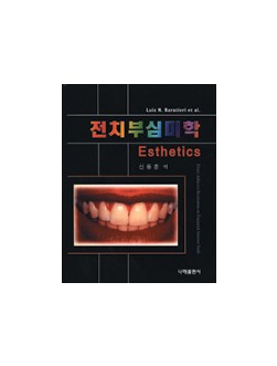 전치부 심미학