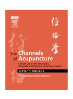 Channels of Acupuncture :Use of the Secondary Channels and Eight Extraordinary Vessels