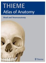 Atlas of Anatomy : Head and Neuroanatomy (하드카바)