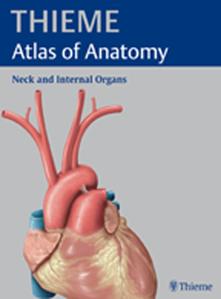 Atlas of Anatomy : Head and Neuroanatomy (Softcover)