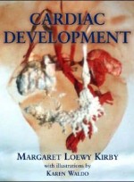 Cardiac Development