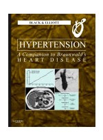 Hypertension - A Companion to Braunwald's Heart Disease