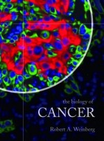 The biology of cancer