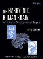 The Embryonic Human Brain: An Atlas Of Developmental Stages