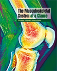The Musculoskeletal System at a Glance,The