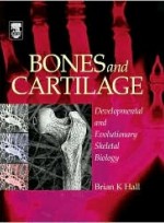 Bones And Cartilage