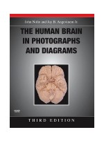 Human Brain in Photographs and Diagrams with CD-ROM,The,3/e