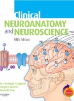 Clinical Neuroanatomy and Neuroscience, 5/e