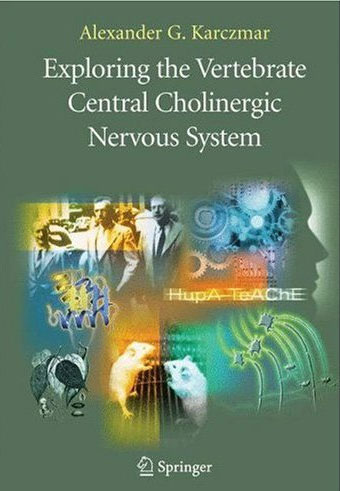 Exploring the Vertebrate Central Cholinergic Nervous System