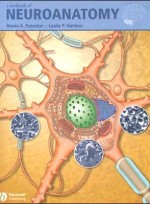 Textbook of Neuroanatomy