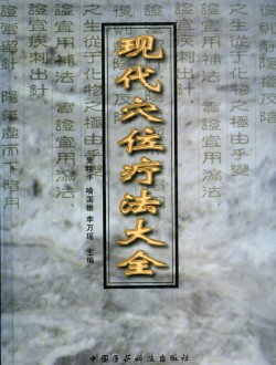 현대혈위요법대전