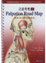 근골격계 Palpation Road Map(3판)