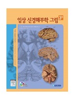 임상신경해부학그림(제3판):The Human Brain in Photographs & Diagrams