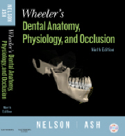 Wheeler\'s Dental Anatomy, Physiology and Occlusion, 9th Edition