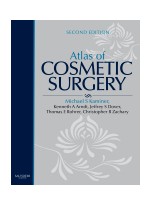 Atlas of Cosmetic Surgery with DVD,2/e