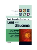 Rapid Diagnosis in Ophthalmology Series: Lens and Glaucoma