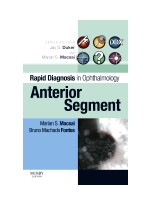 Rapid Diagnosis in Ophthalmology Series: Anterior Segment