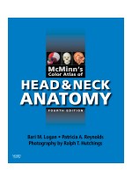 McMinn's Color Atlas of Head and Neck Anatomy,4/e