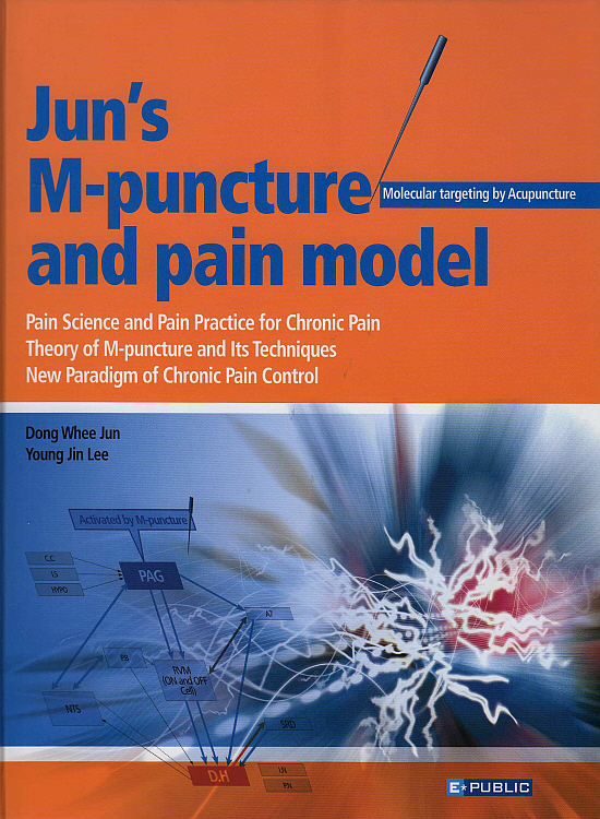 Jun\'s M-Puncture & pain model(영문판)