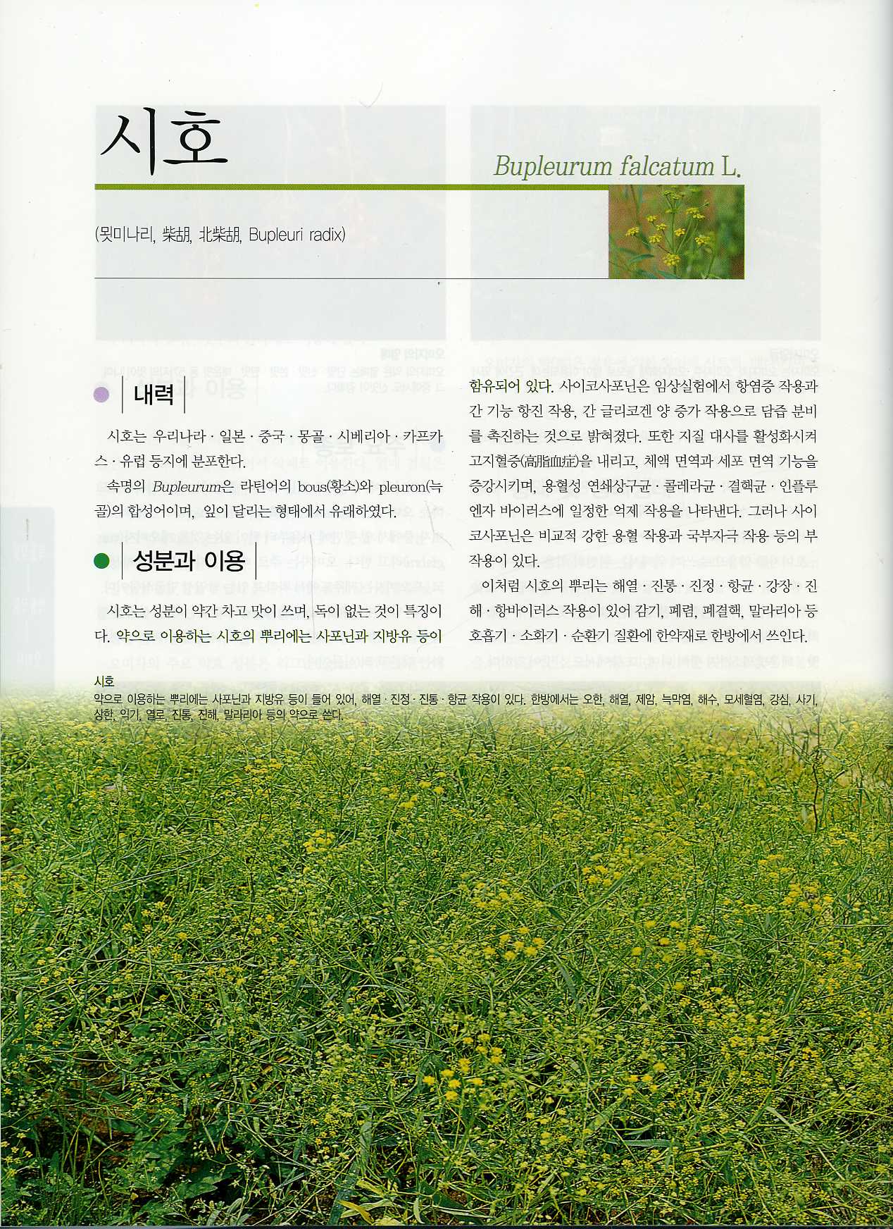 한국토종작물자원도감