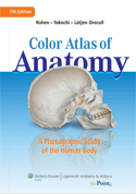 Color Atlas of Anatomy: A Photographic Study of the Human Body, 7/e