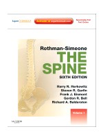 Rothman Simeone The Spine, 6/e