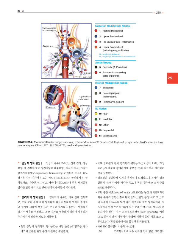 암 병기설정 메뉴얼 CD포함 AJCC Cancer Staging Manual  (7판번역본)