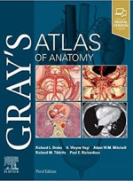 Gray's Atlas of Anatomy 3e