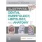 Illustrated Dental Embryology, Histology, and Anatomy 5e