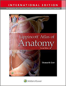 Lippincott Atlas of Anatomy 2e(IE)