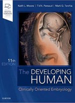 The Developing Human: Clinically Oriented Embryology 11e