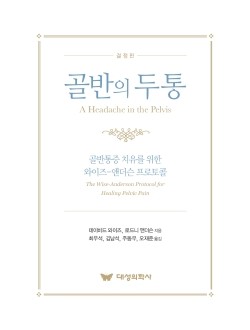 골반의 두통  골반통증 치유를 위한 와이즈-앤더슨 프로토콜