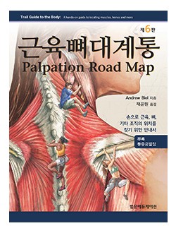 근육뼈대계통 Palpation Road map 6판