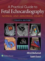 A Practical Guide to Fetal Echocardiography: Normal and Abnormal Hearts 4/e