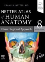 Netter Atlas of Human Anatomy: Classic Regional Approach,8/e