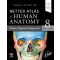 Netter Atlas of Human Anatomy: Classic Regional Approach,8/e